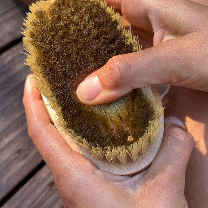 Ionic Copper Dry Brush for Smooth Skin